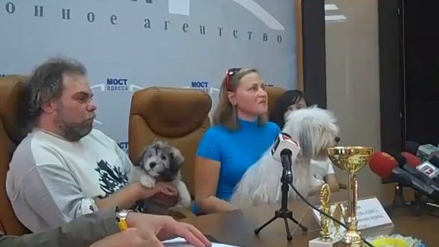 odis смотреть онлайн