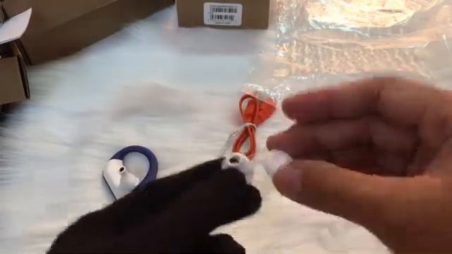 Earphone Bluetooth JBL Endurance Srpint Blue - Tai nghe không dây JBL Endurance Sprint Xanh Dương смотреть онлайн