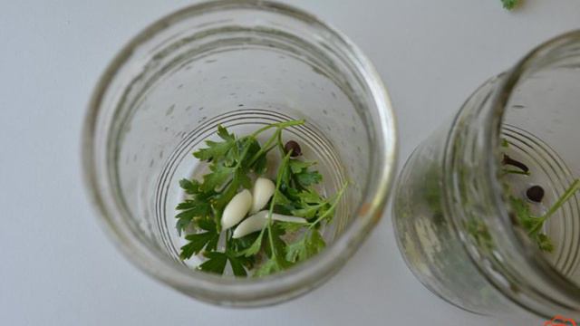 Сборник рецептов