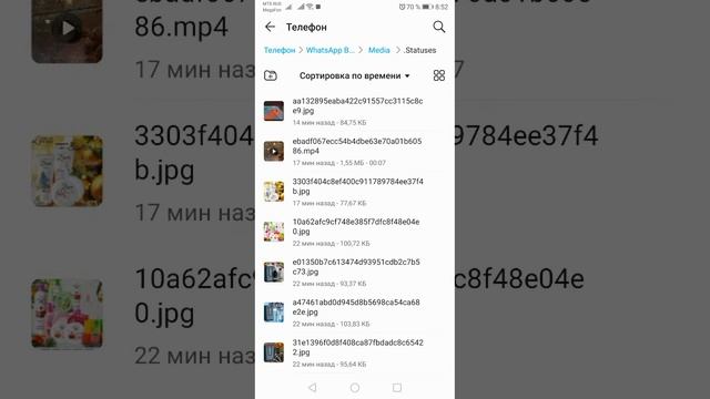 Как скачать видео и фото со статусов WhatsApp? смотреть онлайн