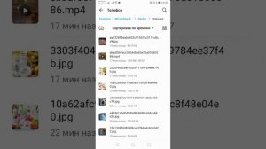 Как скачать видео и фото со статусов WhatsApp?