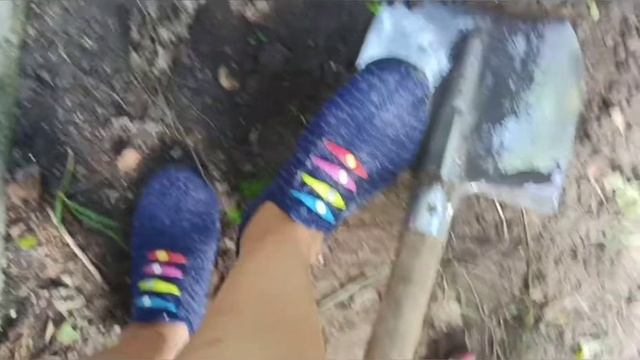 MD 4060 копаю возле Яготына. Ищу клад, под берёзой. Женский коп смотреть онлайн