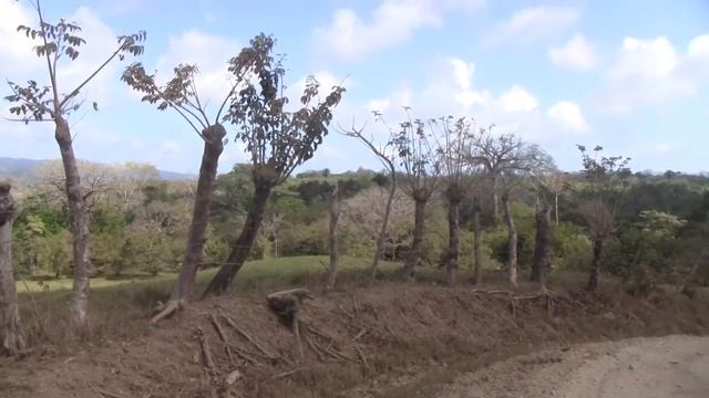 Costa Rica Bicycle Tour: Day 4 part 1 смотреть онлайн