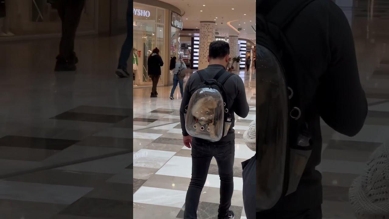 А Почему бы и нет?! смотреть онлайн