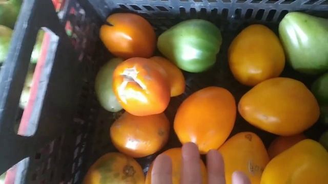 Лучше СИНИЦА в руках, чем ЖУРАВЛЯ выкинуть????. смотреть онлайн