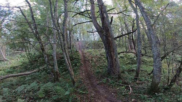 ДВОЙНАЯ КУРВА (ЗАТИШЬЕ) смотреть онлайн