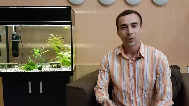 Дом, обволоженный красотой