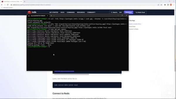How to install Redis Server on Windows 10 WSL2