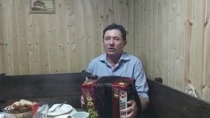 Жизнь моя телега.Гармонь  Владимир Белоглазов.#гармонь #игры