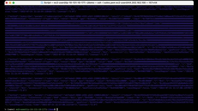 bloXroute's mempool data 101 смотреть онлайн