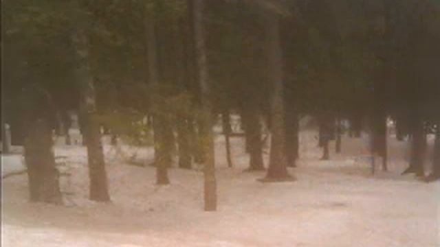 Catamenia - Dreams Of Winterland смотреть онлайн