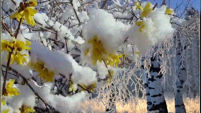 Сретение господне. смотреть онлайн