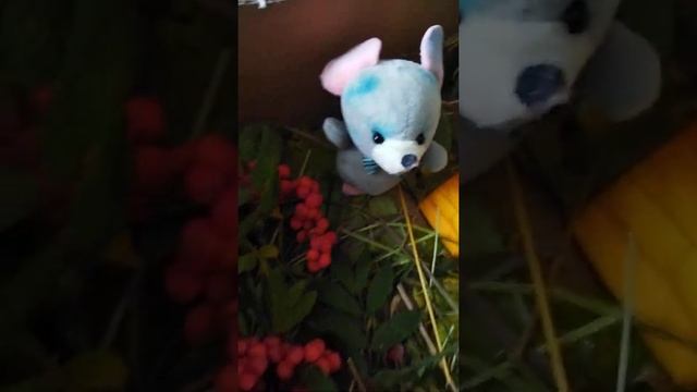 Дары осени, поделка в садик смотреть онлайн