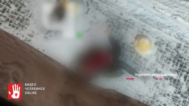 В Тракторозаводском районе под окнами многоэтажки нашли тело женщины смотреть онлайн