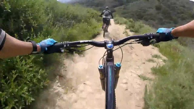 Lynx Trail смотреть онлайн