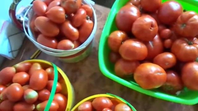 Собираем урожай/Разведение червя дендробена смотреть онлайн