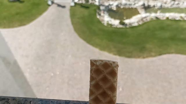 Вафля спрыгнула с 2 этажа смотреть онлайн