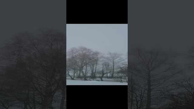 Солнечная электростанции Ecoflow River 2