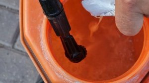 сера против ржавчины на груше, экологически чистое средство