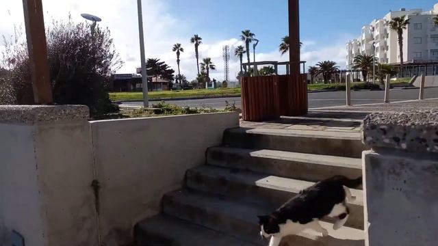 прогулка вдоль бухты Фигового дерева на Кипре walking along Fig Tree Bay in Cypru смотреть онлайн