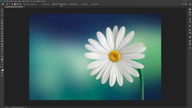 Mastering Adobe Photoshop | Magic Wand Tool | Beginner to Expert Level Photoshop Tutorial смотреть онлайн