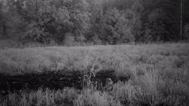 медведь на приваде смотреть онлайн