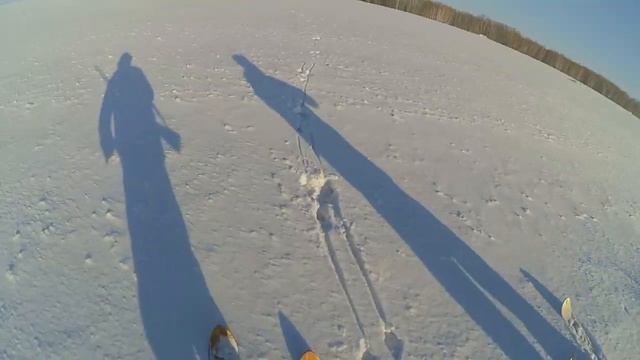 Охота на зайца 11февраля 2023г Морозно! смотреть онлайн