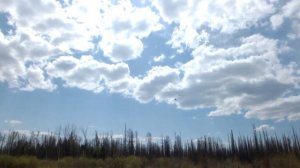 MARLIN MP 9.9 (15) AMHS PROLIN  Обкатка нового мотора.#1