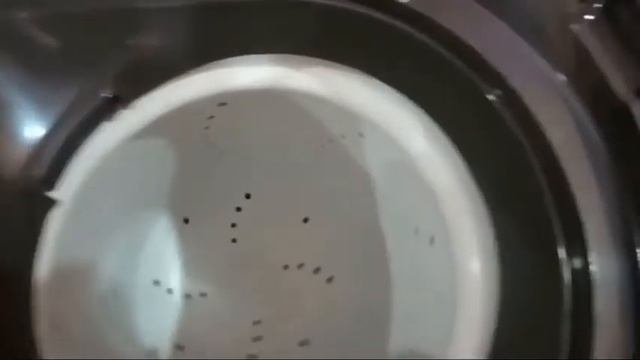 Whirlpool Superb Atom 70s Semi-automatic Washing Machine 7kg Unboxing. смотреть онлайн