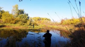 Золотая осень и Tict bFO-74S-5P