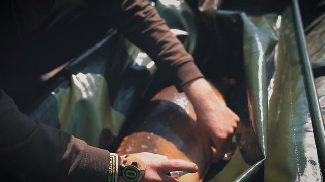 ПОЮЩИЕ КАРПЫ?! Философия ПОЙМАЛ - ОТПУСТИ в РЫБАЛКЕ! Берегите природу и уважайте ваших соперников! смотреть онлайн