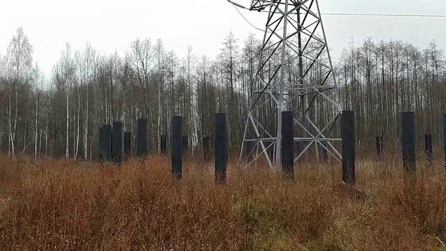Брянские ЛЭП стали защишать частоколом !! смотреть онлайн