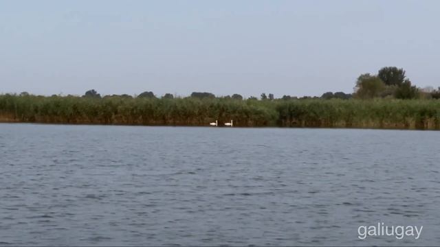 Галюгаевское озеро «Калюга» смотреть онлайн