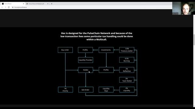 Hocus Pocus - Treasury and Utility Explained - Pulsechain Altcoin 100X GEM смотреть онлайн