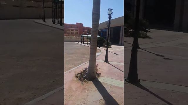 Синдбад клуб путь от отеля к морю/ Sindbad club way to the beach смотреть онлайн