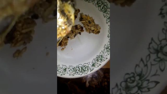 Как сделать печенье для хомяка смотреть онлайн