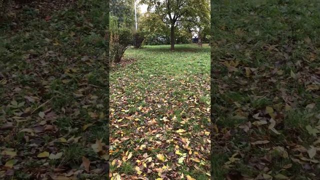 Идём в магазин брендовой одежды O'STIN #остин#одежда#мужскаяженская смотреть онлайн