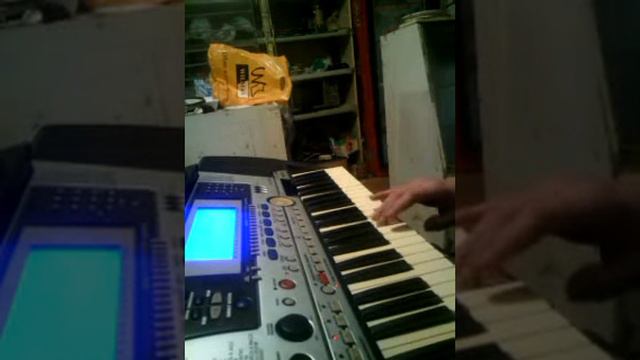 Вир. Зара, тренировка Yamaha