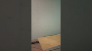 Текнолоджи