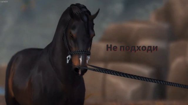 [SSO] Видение смотреть онлайн