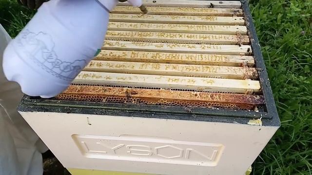 Объединение пчелосемей на МЕДОСБОР ! Как просто объединить две семьи пчёл перед главным медосбором