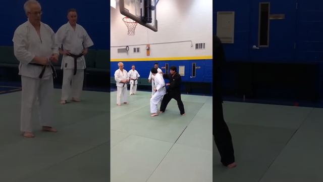 Tekki Shodan Bunkai - Shotokan Karate смотреть онлайн