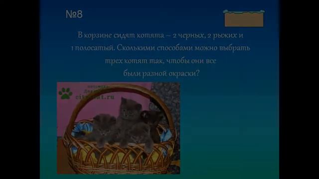 задачи про кошек и кроликов смотреть онлайн