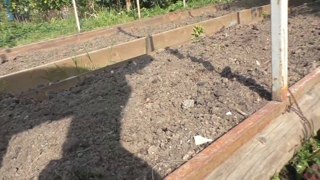 Осень на даче смотреть онлайн