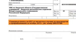 Инструкция по заполнению платежного поручения