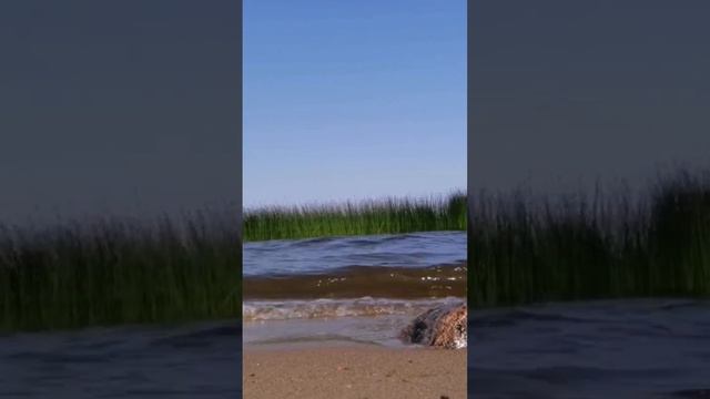 Сильные волны на Ладожском озере и сильный ветер 17 июня 2023 года🌊 смотреть онлайн
