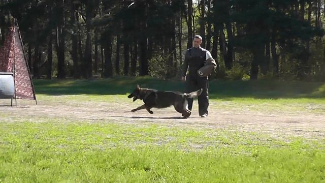 05 01 2022 Русский Ринг Цезарь атака 5 смотреть онлайн