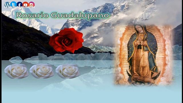 Rosario Guadalupano 07 de noviembre смотреть онлайн