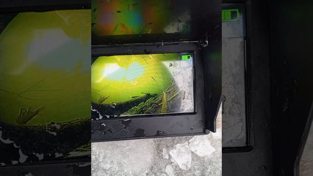 Зимняя рыбалка по первому льду смотреть онлайн