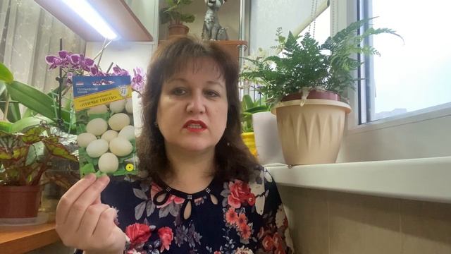 Что посадить в 2022 году? Обзор садовых цветов смотреть онлайн